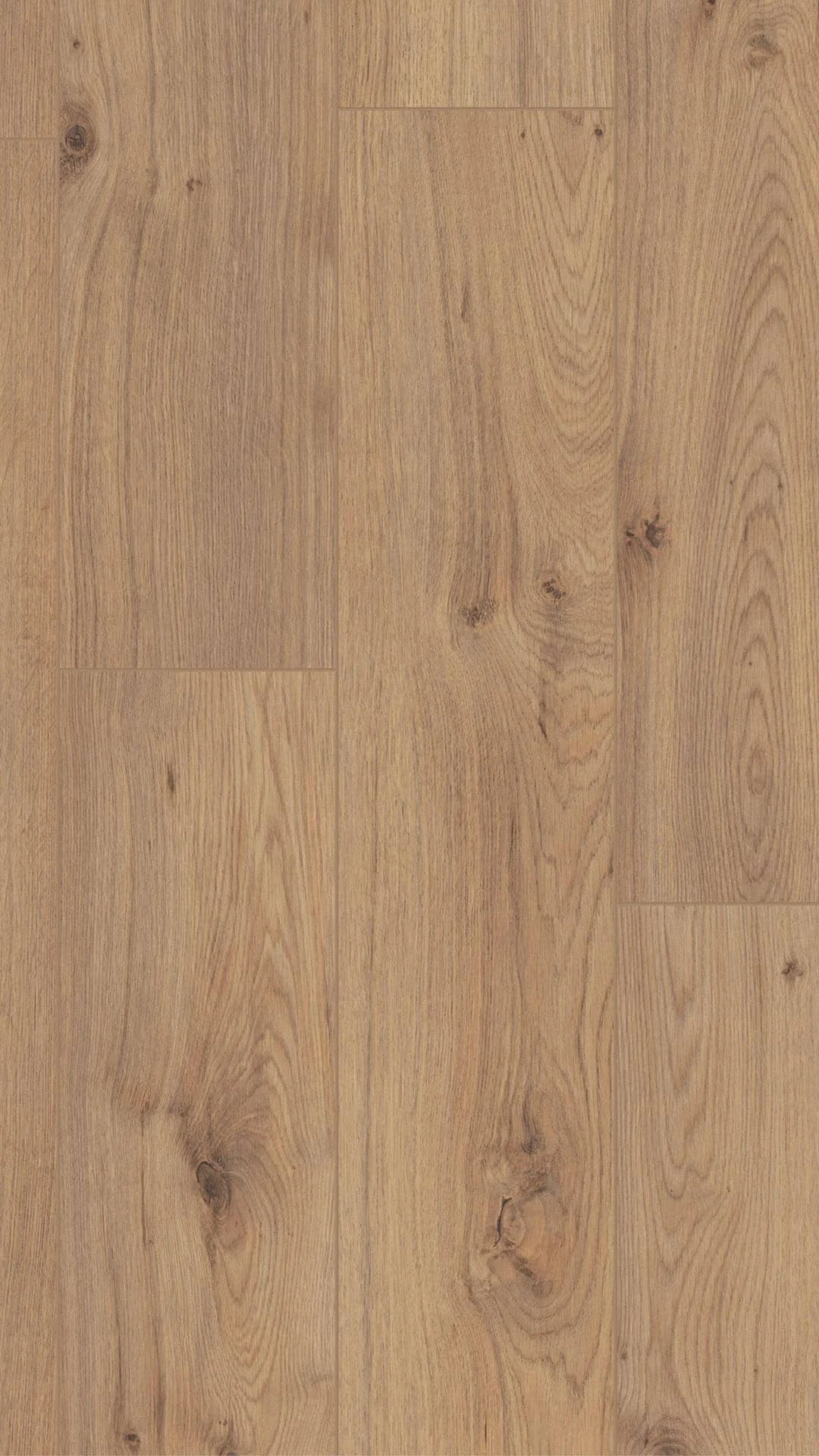 8 mm laminat Easy Line Aberdeen
