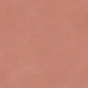 LVT terakota Inspiration 55