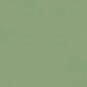 Linoleum maslinasto zelena